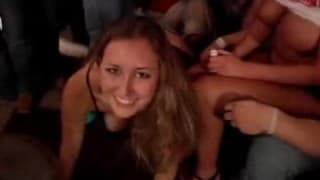 Louca orgia entre estudantes Louca orgia entre estudantes