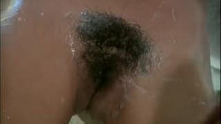 Árabe de pelo na buceta Árabe de pelo na buceta