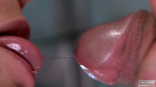 Dois gays explodem em sodomia Dois gays explodem em sodomia