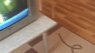 Adolescente tesuda adora pau! Adolescente tesuda adora pau!