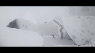 Verifique a sua idade