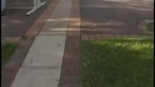 Verifique a sua idade