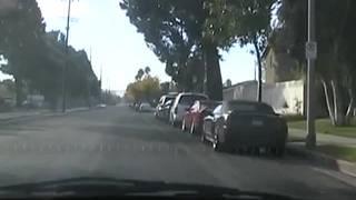 Lauren A - A morena com uma bunda grande!