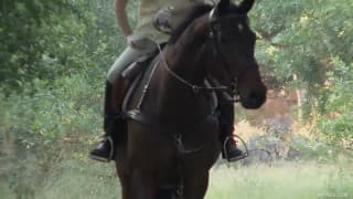 Verifique a sua idade