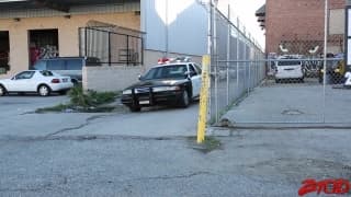 Lola Foxx montada à canzana! Lola Foxx montada à canzana!