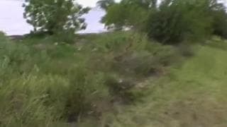 Marina Maywood é penetrada a meio da natureza