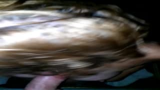 Uma mulher adora o cacete do seu homem Uma mulher adora o cacete do seu homem