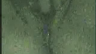 Uma masturbação em grande plano!