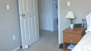 Se masaturba na webcam para se exibir Se masaturba na webcam para se exibir