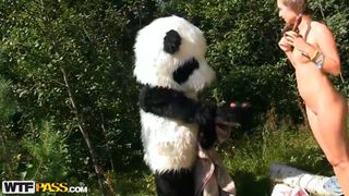 Verifique a sua idade