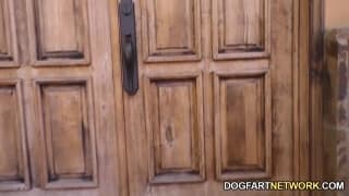 Casey Calvert num gangbang com negros!