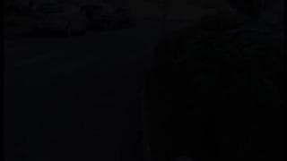 Verifique a sua idade