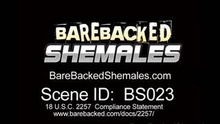 Um trio divertido com tudo!