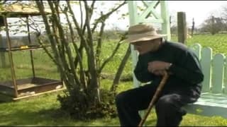 Verifique a sua idade