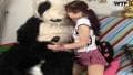 Esta estudante é fodida por um panda!