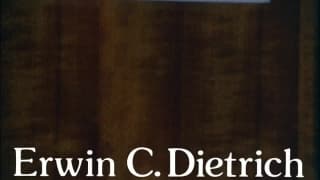 Verifique a sua idade