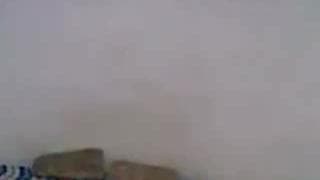 Verifique a sua idade