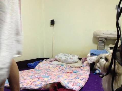 Verifique a sua idade