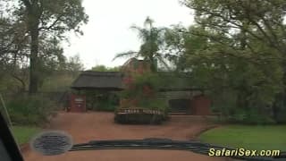 Verifique a sua idade