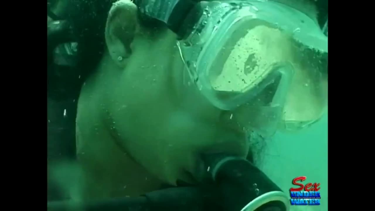 Verifique a sua idade