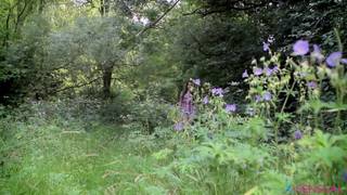 Verifique a sua idade