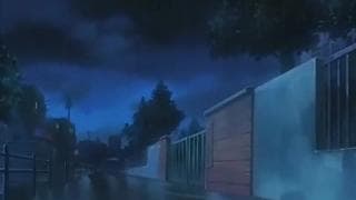 Verifique a sua idade