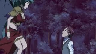 Verifique a sua idade