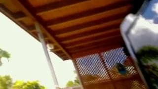 Garota de webcam dando show ao ar livre