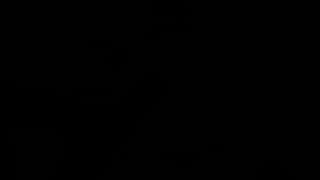 Verifique a sua idade