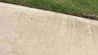 Verifique a sua idade