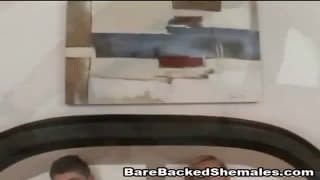 Verifique a sua idade