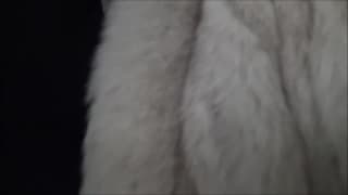 Verifique a sua idade