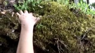 Verifique a sua idade