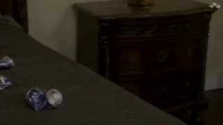 Verifique a sua idade