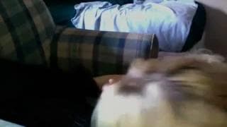 Verifique a sua idade