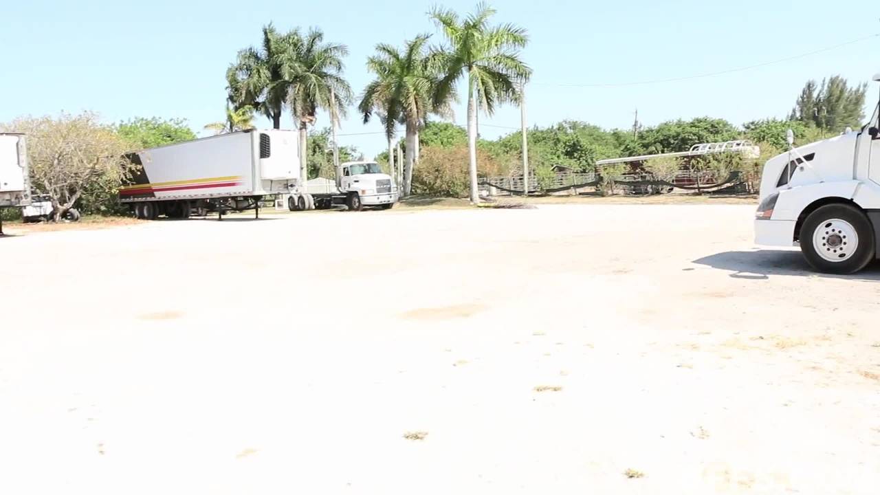 Verifique a sua idade