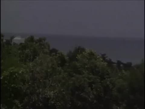 Verifique a sua idade