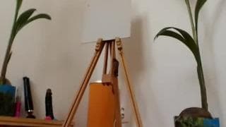 Verifique a sua idade