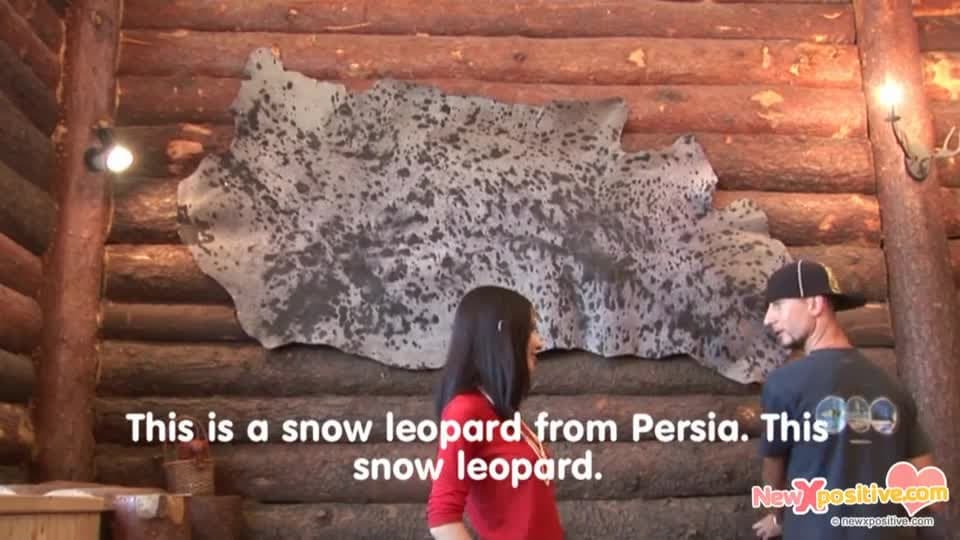 Verifique a sua idade