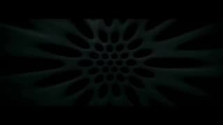 Verifique a sua idade