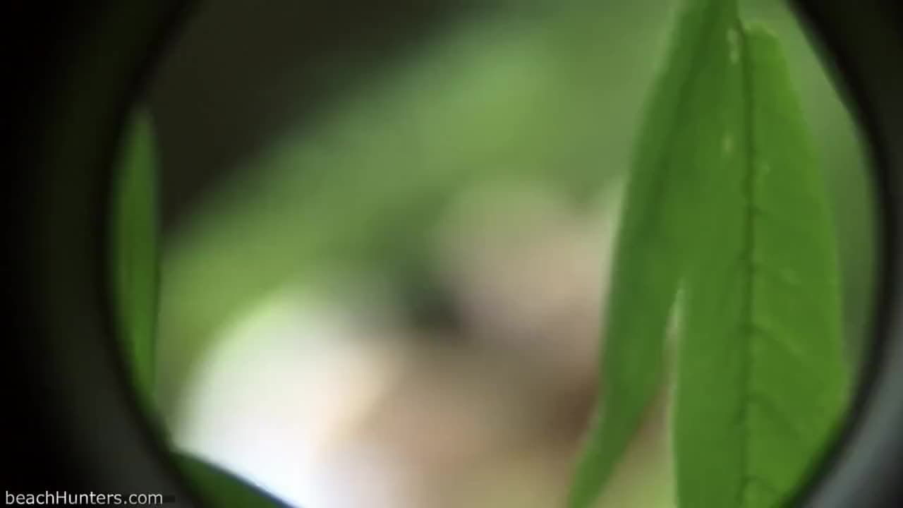 Verifique a sua idade