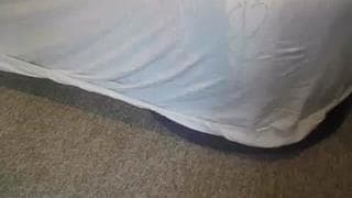 Verifique a sua idade