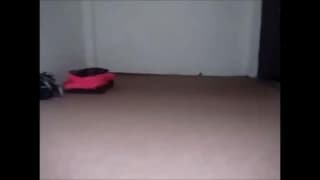 Verifique a sua idade