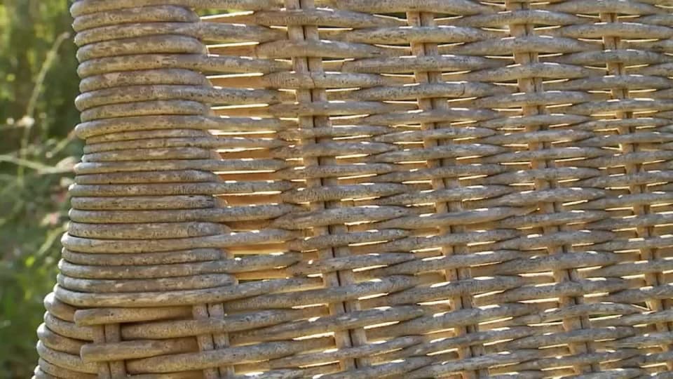 Verifique a sua idade