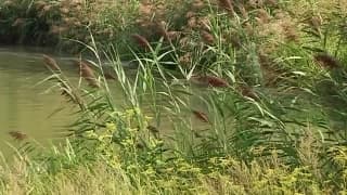 Verifique a sua idade