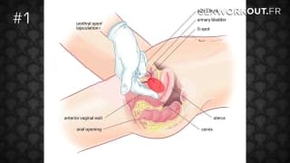 Careca ensina a você como deixar sua mulher viciada em sexo Careca ensina a você como deixar sua mulher viciada em sexo