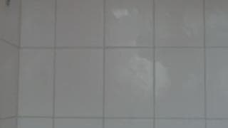 Verifique a sua idade