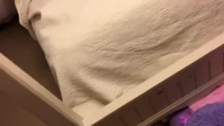 Verifique a sua idade