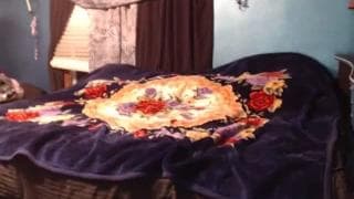 Verifique a sua idade