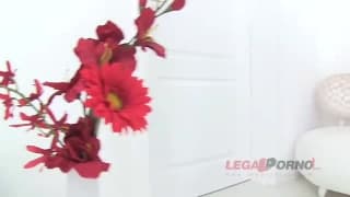 Verifique a sua idade